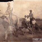 Z terenów miechowskich ku nieprzyjaznej tajdze...