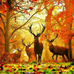 Nasi Wspaniali Zieloni Przyjaciele! - lekcja biblioteczna